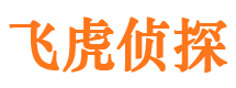 宁县市侦探公司